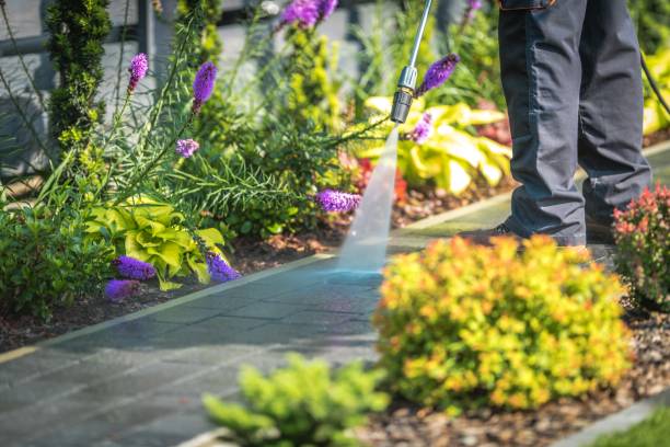Best Winterizing Services  in Ferndale, MD